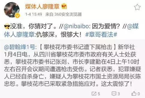 攀枝花枪击案最新结果,2017年攀枝花市枪击案