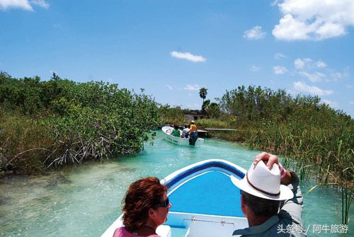 春日美丽的景色,春日里的风景美景