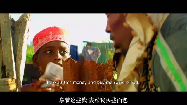 本周狗粮推荐,从营养低的狗粮换营养高的狗粮