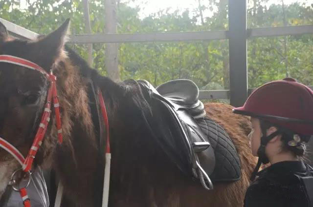 大尖山露营公园图,五桂山山旮旯露营基地