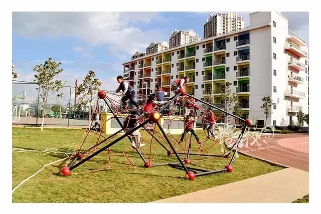 校园资讯图片,校园资讯视频