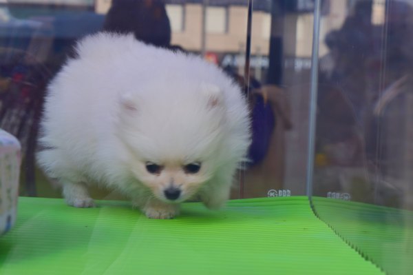 日韩邮轮日游,釜山福冈邮轮旅游攻略