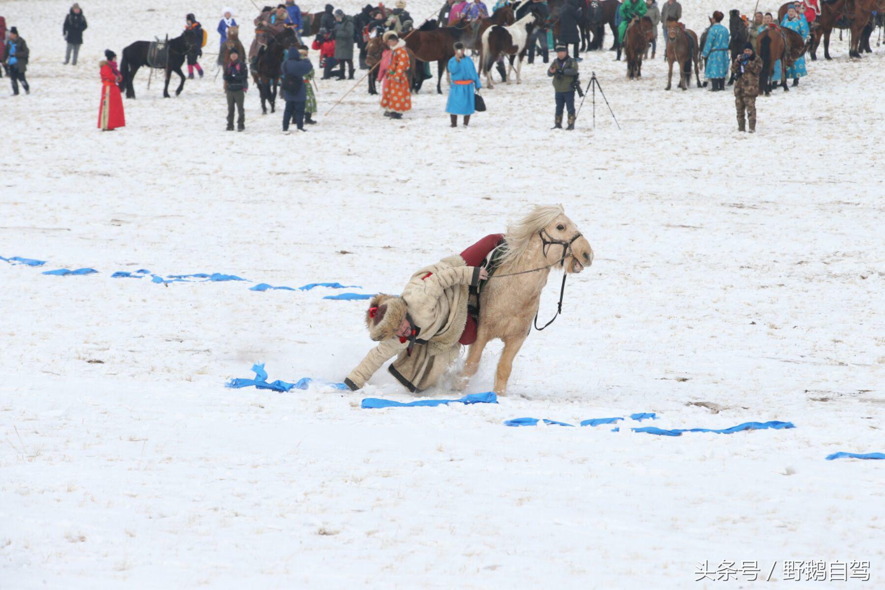 锡林郭勒盟那达慕自驾攻略,锡林郭勒冰雪那达慕完整版