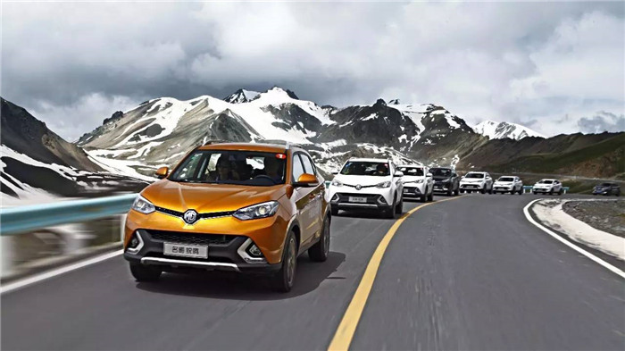 同胞兄弟为何差距那么大,同门兄弟上汽大众