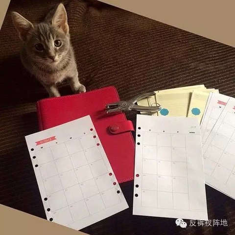 好看美丽的文具,提升写字乐趣的文具