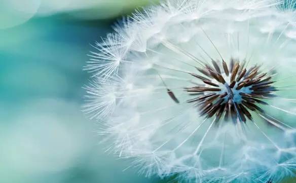 去脸斑的食物,日常吃什么可以去脸斑呢