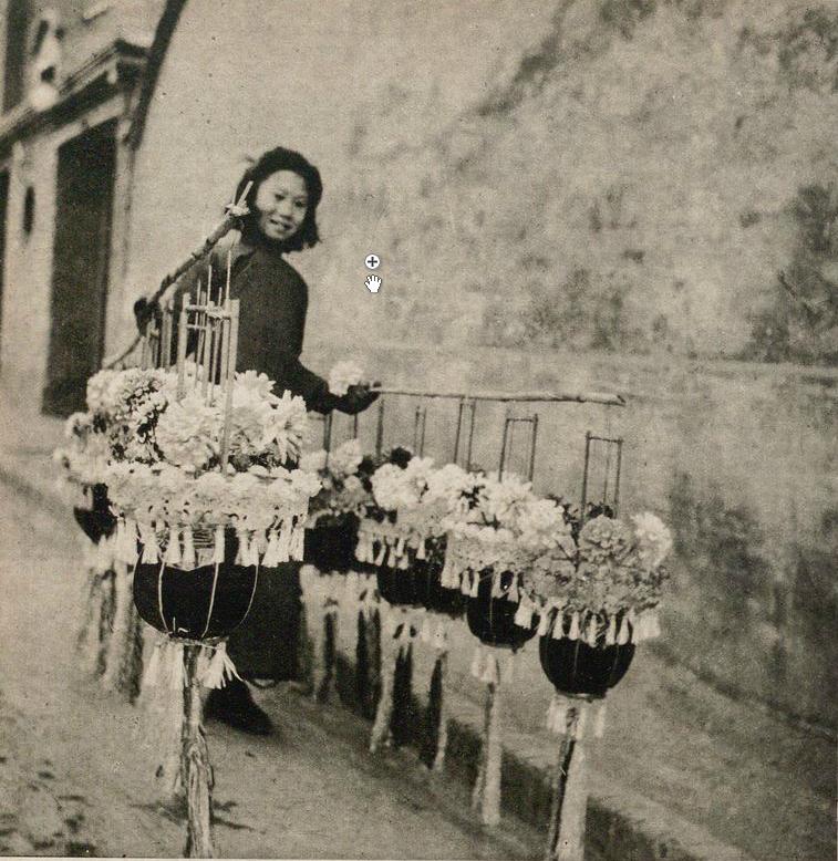 跟着马三立学习模仿,跟马三立学西河大鼓