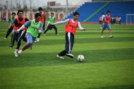 足球疯狂球迷视频,足球疯狂球迷冲场庆祝