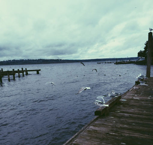 被人卖去当童养媳的电视剧,被卖童养媳