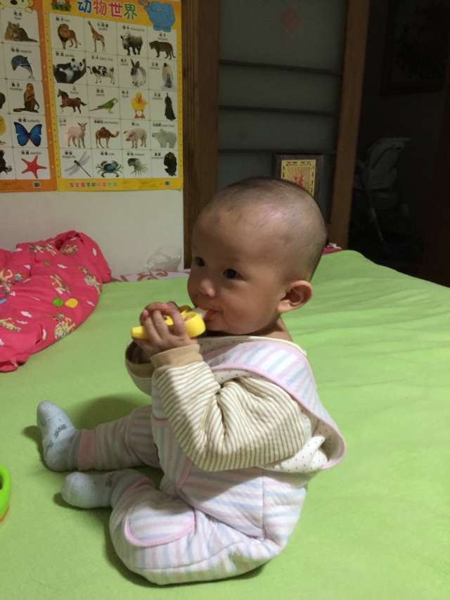 卓玛的牙胶开会喽~