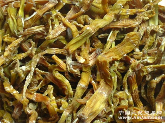 西部刀手，行走于中国道教神山四川洪雅瓦屋山，暗藏杀伐之气！