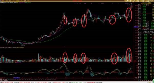 高级操盘手必备技巧,顶级操盘手的10个日常步骤供参考