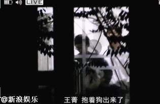 何炅和何老师现状,何炅为什么被叫何老师