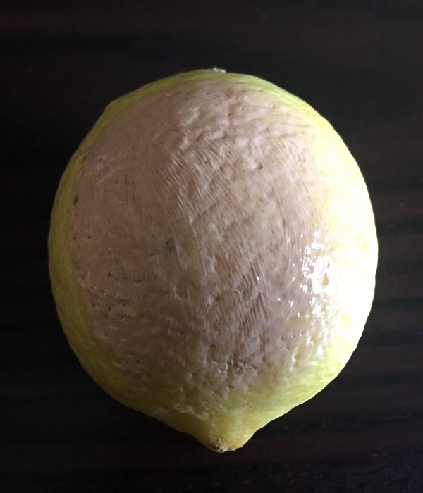 哪些粉底液可以打造出少女奶油肌,水润显气色的粉底液哪款好用