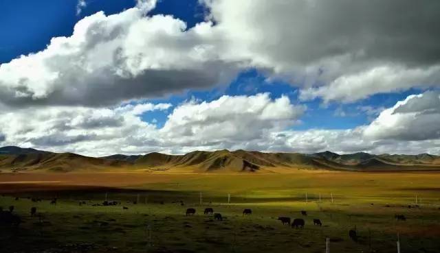 中国每个季节的旅游攻略 (中国一年四季的旅游攻略)