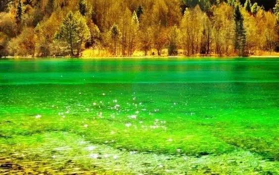 中国每个季节的旅游攻略 (中国一年四季的旅游攻略)