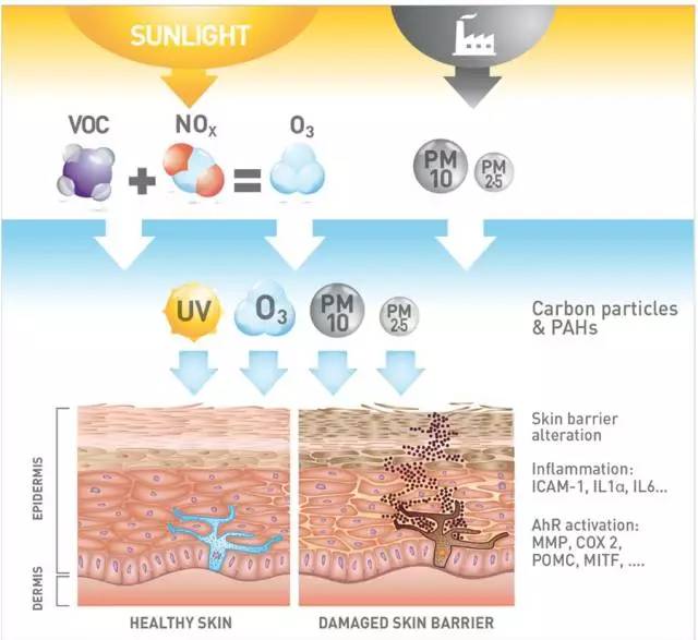 躲不开的雾霾天,躲不开的雾霾