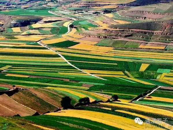 投稿定西,投稿专用话语