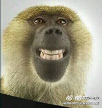 竞报：55开真有女粉丝？被点赞之人颜值逆天