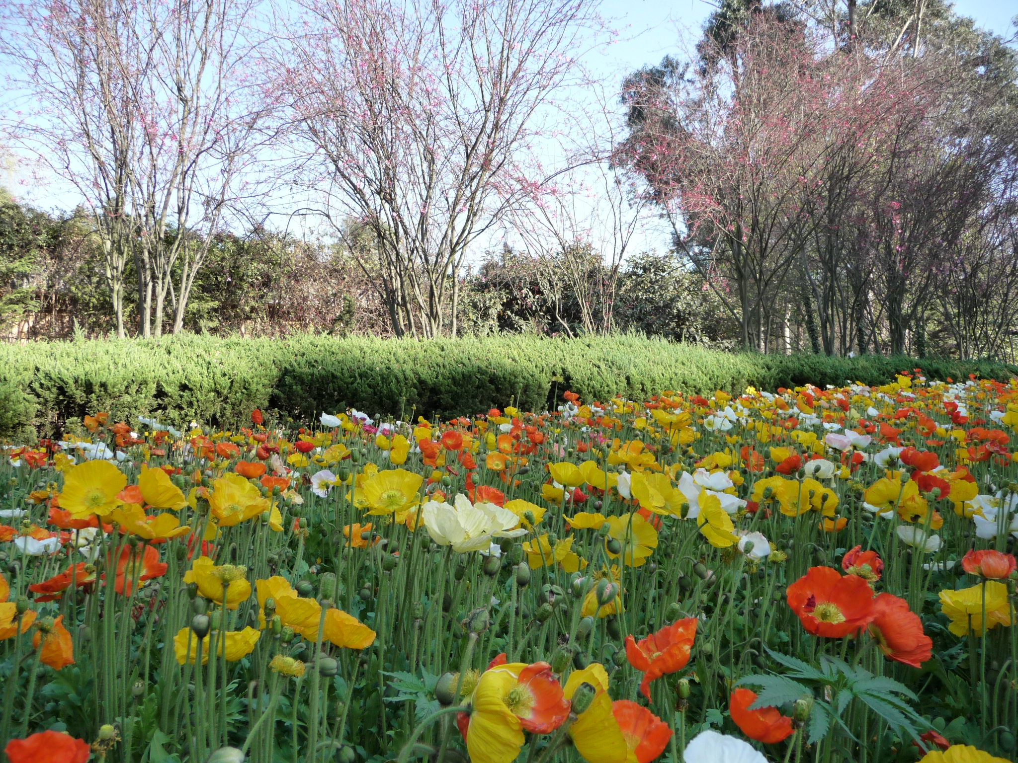 创业者之歌100首,创业者之歌全部歌曲