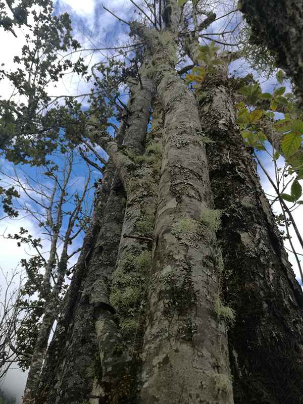 滇藏219线骑摩托进藏最全攻略,2021滇藏进藏自驾游