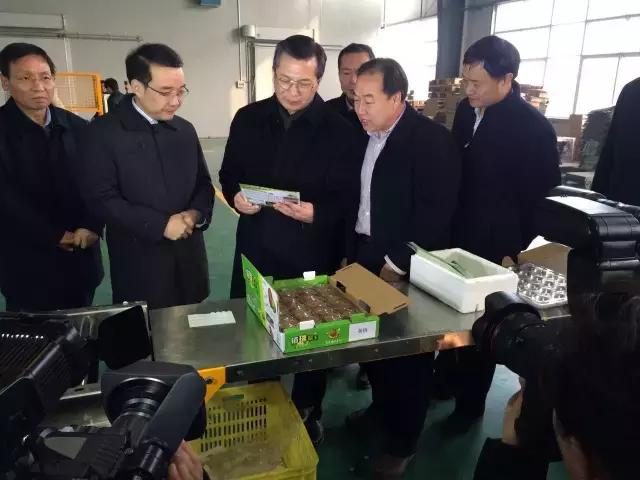 重磅|王永康南风吹来满眼春