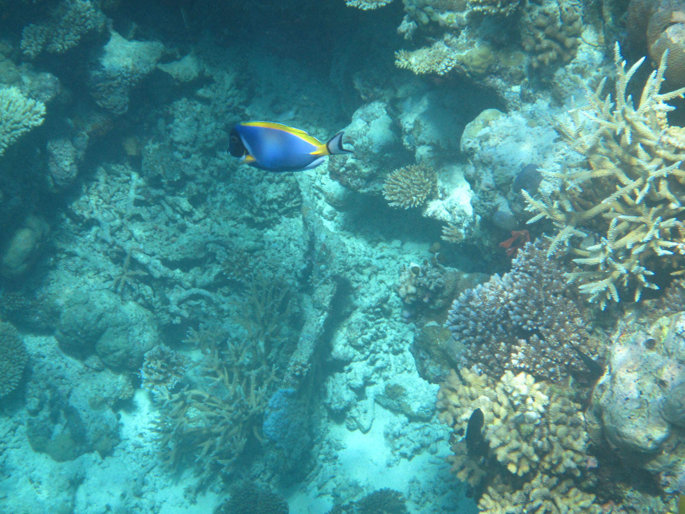 马尔代夫最美景色,最美马尔代夫风景