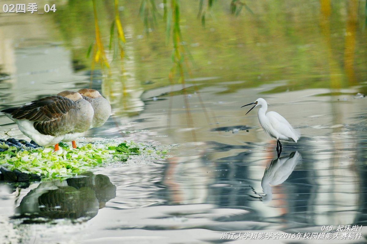 浙江大学是中国最水的大学,一分钟带你了解浙江大学