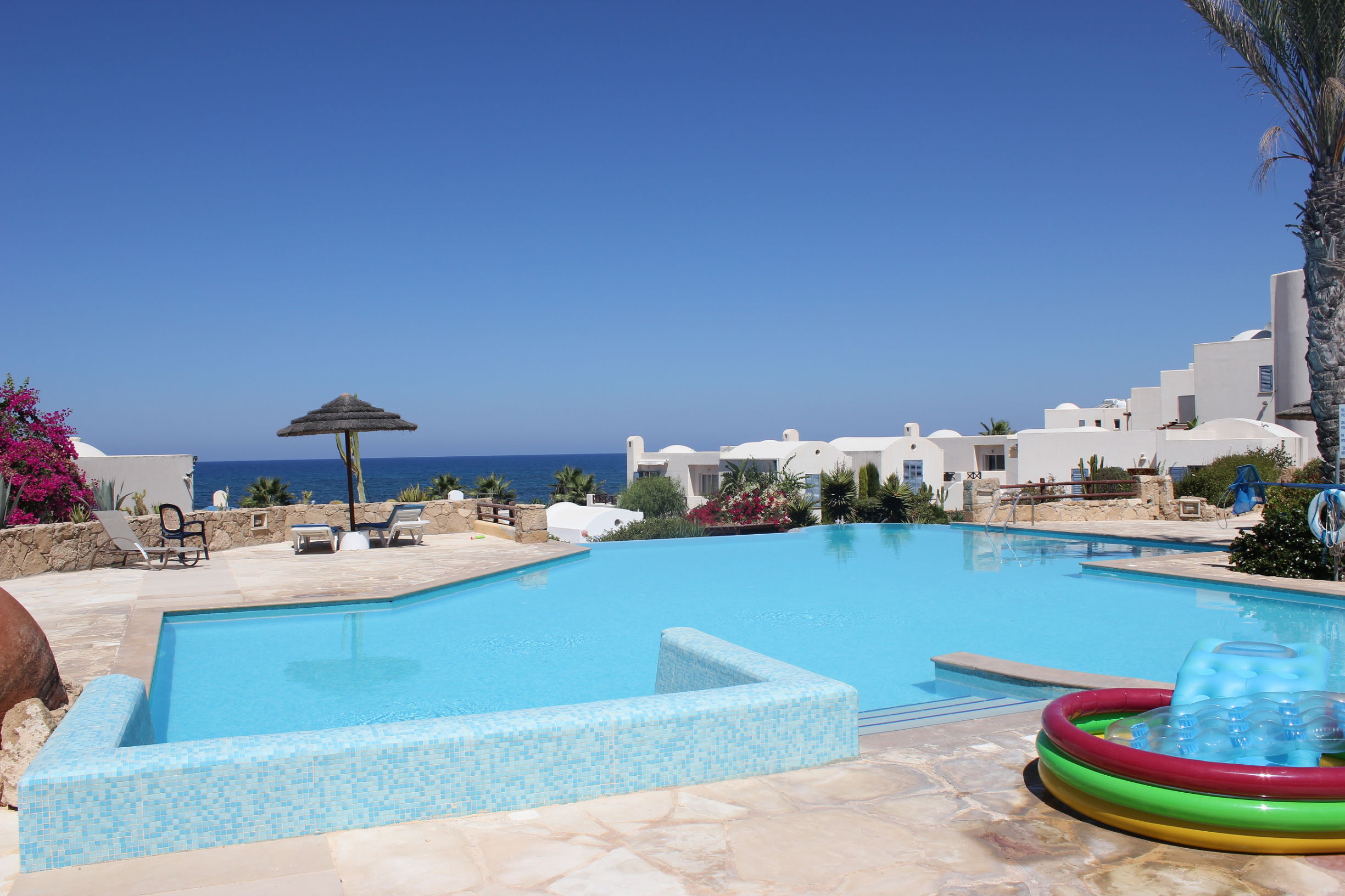 一个月就可以拿到护照的移民国家,免护照移民国家