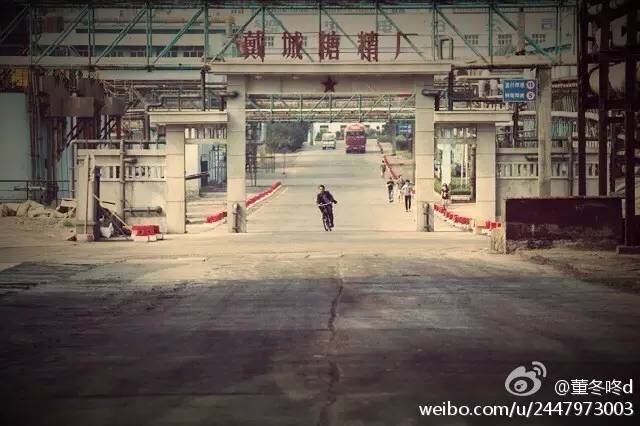 本周狗粮推荐,从营养低的狗粮换营养高的狗粮