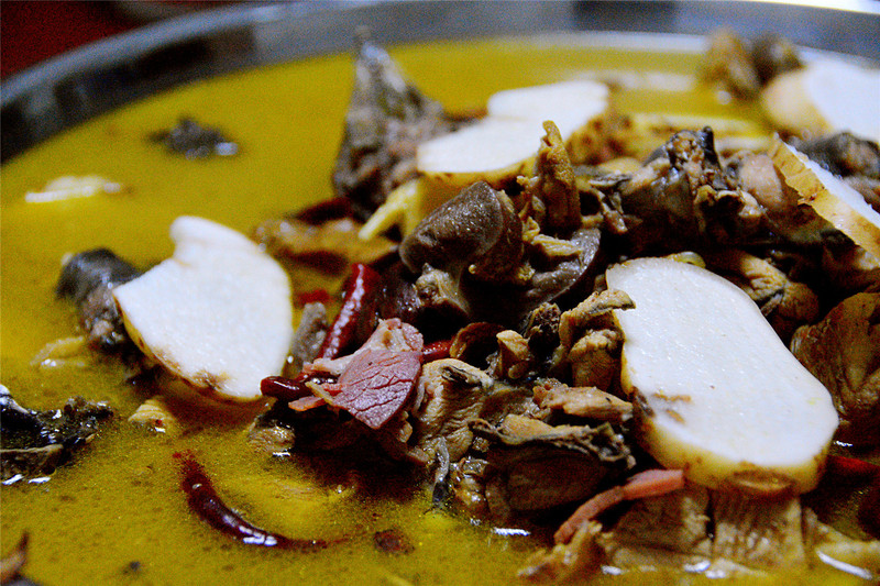 说走就走的旅行云南红河,邂逅云南高原美景