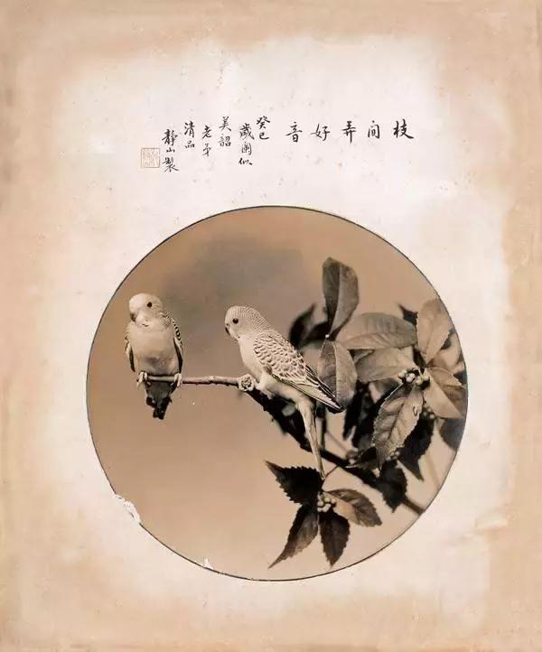 这才是真正的中国风,这才是真正的中国风古装