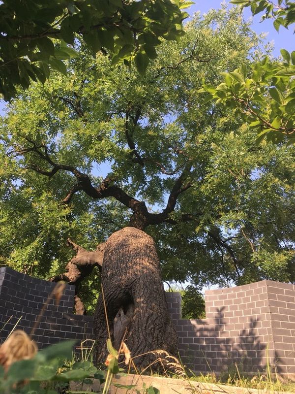 除了汉献帝，许昌还流传着这个汉朝皇帝的传说，跟这个村儿有关！