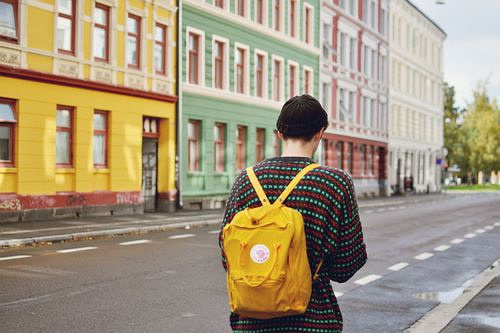 最大牌|瑞典国民背包北极狐又土又傻却是全球第一