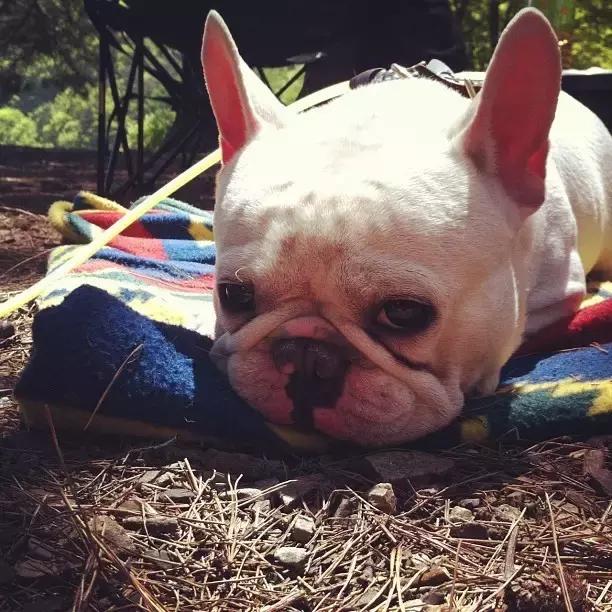 有个喜欢你的女生,有个喜欢的人真好