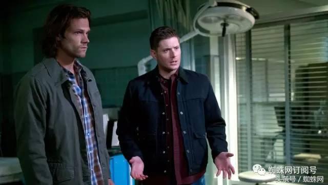 美国人为什么那么喜欢英国人,美国人为什么喜欢僵尸