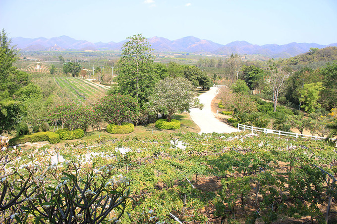泰国曼谷芭提雅华欣7天自由行 (泰国华欣与芭提雅是一个地方吗)