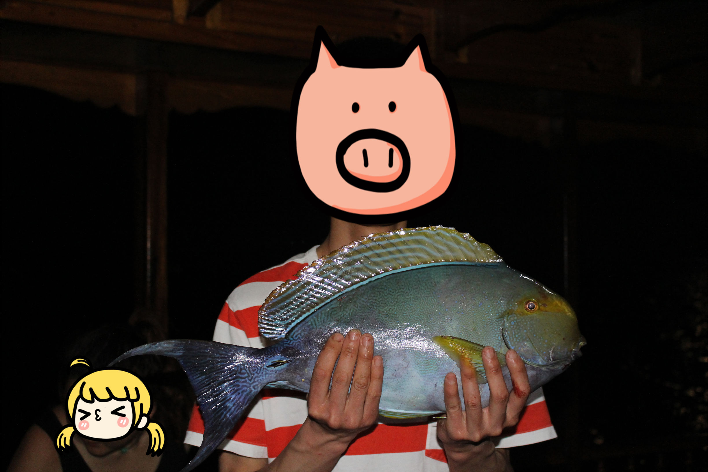 马尔代夫最美景色,最美马尔代夫风景