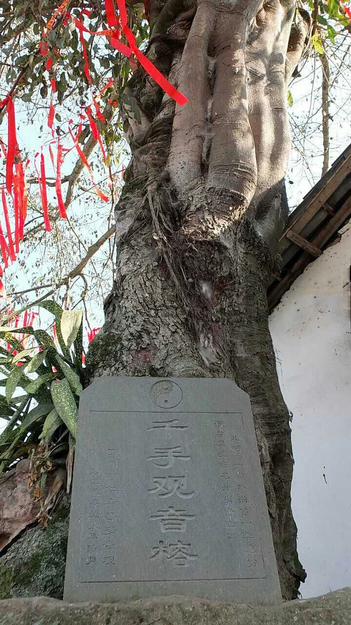 张道陵显灵,张道陵显灵事件四川