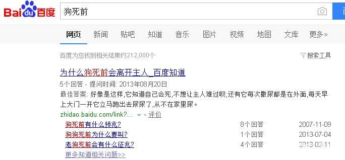 从小养到老的金毛，最近一直吃不了饭，医生说治疗已经没用了.