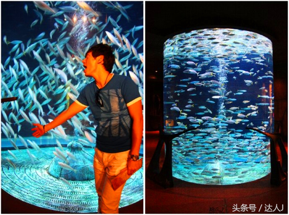 沙漠上的超级绿洲迪拜,迪拜沙漠上的奢华之都