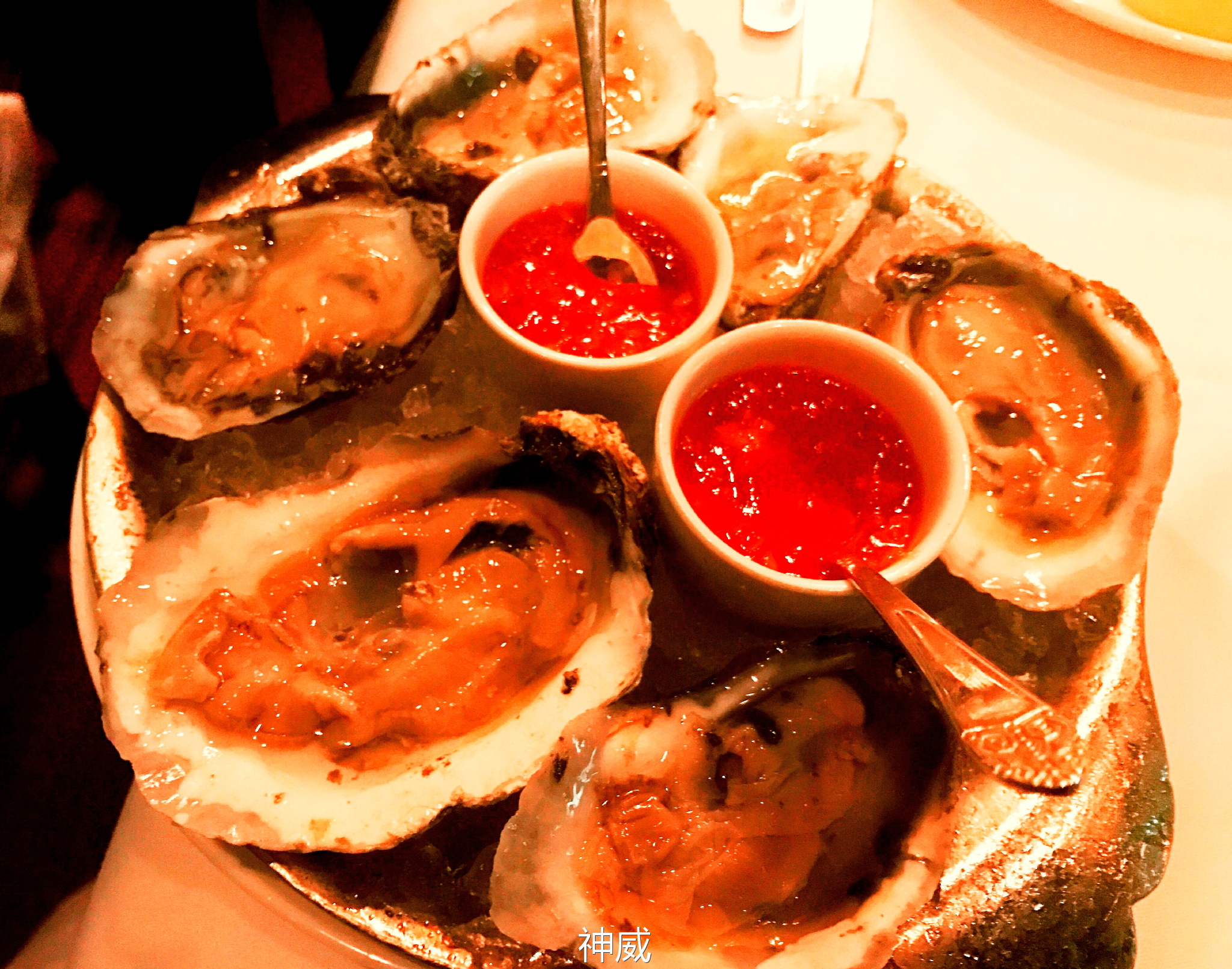 神会玩|XOXO，绯闻纽约的168小时享乐进行时