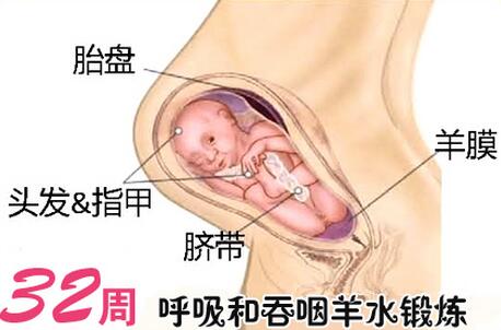 孕32周胎儿多大？饮食、产检应注意哪些问题？