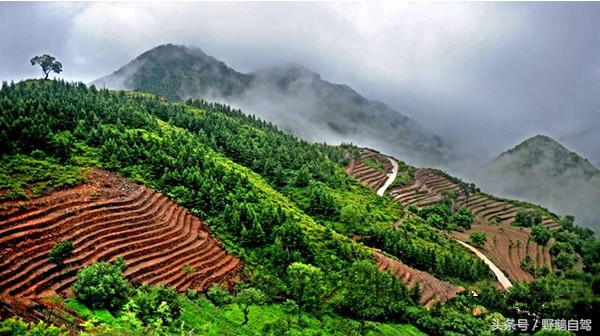 北京郊区房山蒲洼自驾游,房山野鹅旅游攻略