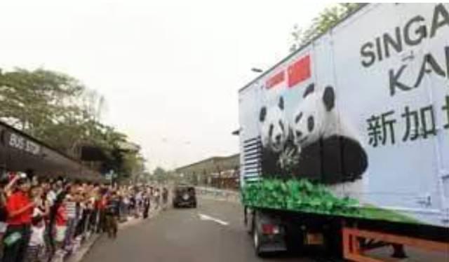 为求得一只熊猫的抚养权，英美荷法等国家连尊严都不要了