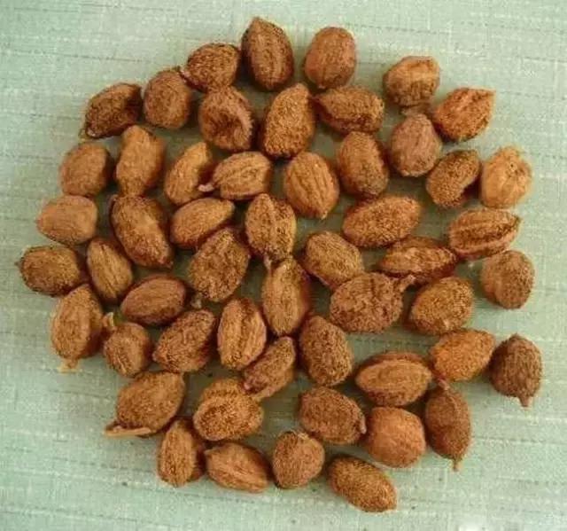 福建汀州土特产,福建零食特产有哪些