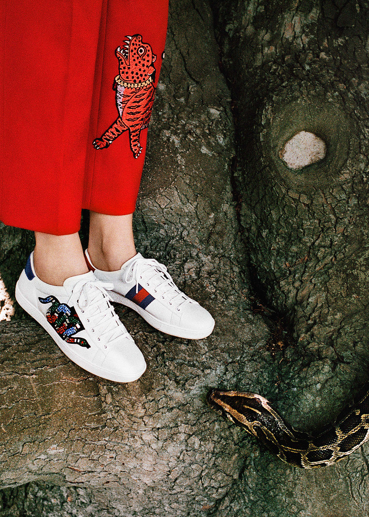 霸屏时尚圈的小白鞋，Gucci解锁鸡年新元素