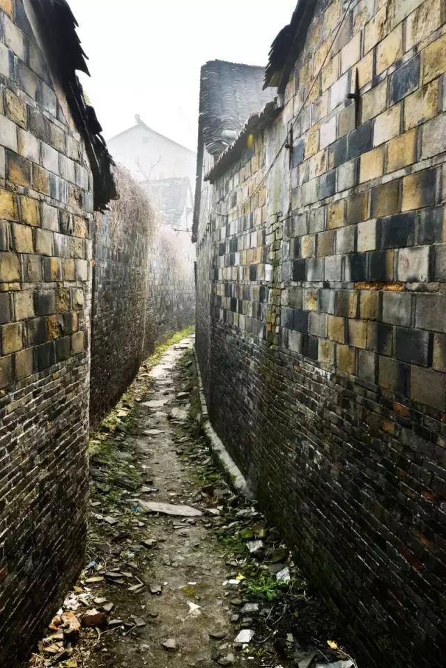 常州最美乡镇在哪里,孟河齐梁生态园游玩攻略