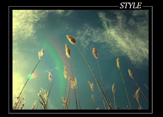 朋友越走越远感情越来越淡,真正的朋友越走越少