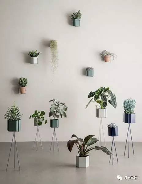 用植物点缀空间，请先抛弃老土花器